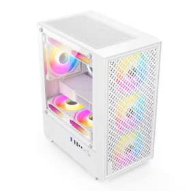 GOLDEN FIELED V01 WHITE CASING